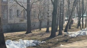 Забота о тех, кто в ней так нуждается