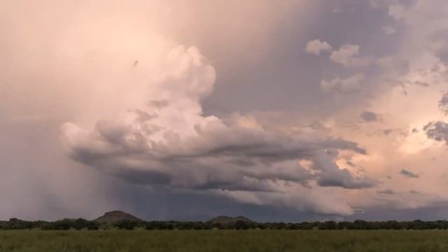 Вивальди Времена года!