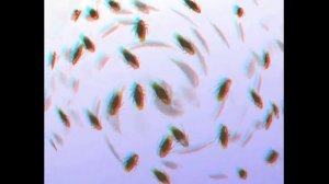 06. Мастер сантехник