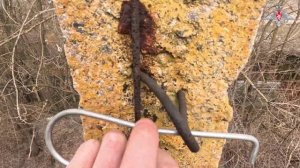 Связисты 68-го гвардейского армейского корпуса протянули новую линию связи