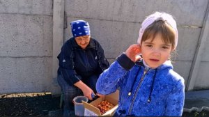 Суббота , все помощники в сборе , посадила лук .