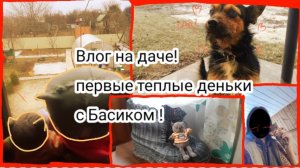 влог с басей на даче! басик пропал 😵😰? что мы делаем на даче в выходные!