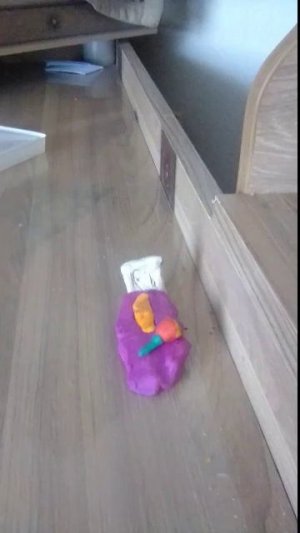 гроб со своим червячком питомцем