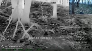 Российские операторы FPV- дронов зачищают жилые постройки от бандерлогов