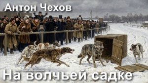 Антон Чехов. "На волчьей садке"