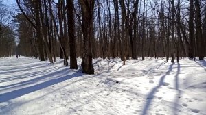 Последние деньки зимы в 2026