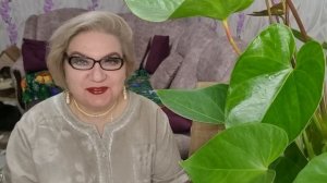 1 часть. Вангую❗️Начало конца💯❗️