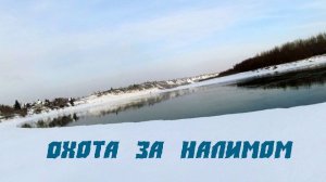 Охота за налимом/ Зимняя рыбалка