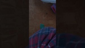 нашли заброшенный пекап