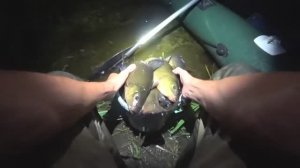 🐟🐟🐟ведро крупного линя на вечерней зорьке !! Рыбалка на поплавок🐟🐟🐟