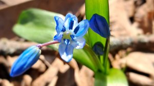 рисуем как сказал друг