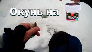 Рыбалка на искусственные наживки! Силиконовые опарыш и мотыль lucky john. Март 2026! часть 2.