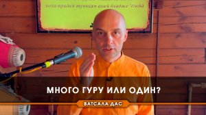 Много гуру или один