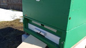 Пчелы понесли обножку 29 марта 2026 год.