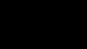 ШАКАЛЫ.  ШАНСОН.