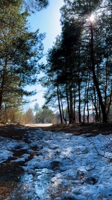 Волшебное время в Карай-Салтыково.