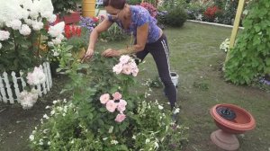 6 соток 13 августа 2021 год. Хроника. 1 часть