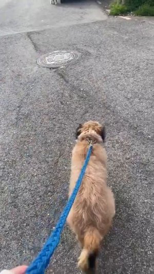 Когда в жизни всё хорошо
