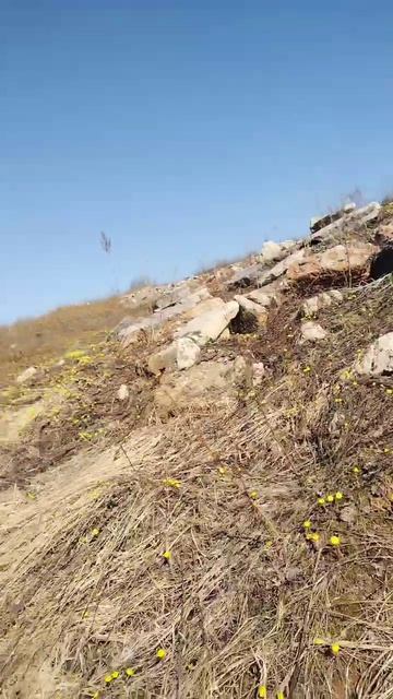 Безвыходных ситуаций не бывает. Мы точно это знаем