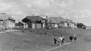 Международное право на хуторе Облом колхоза Регресс.