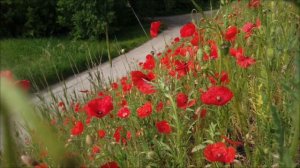 Солнечный поток запущен. 29 марта подключаемся к изобилию.