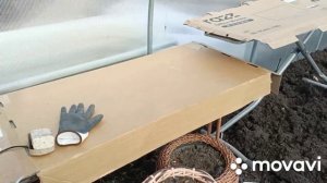 Посадила алиссум,подкормила рассаду.Готовлю теплицу к рассаде.Жарю оладьи,делаю салат