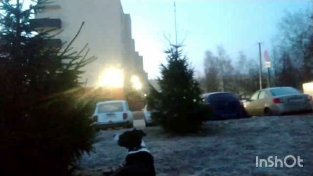 InShot_20260328_172801591.mp4