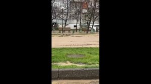 Махачкала под водой. Людей уносит сильным течением на затопленных улицах города