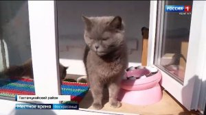 13.30- «Местное время. Вести». от 29.03.2026г.