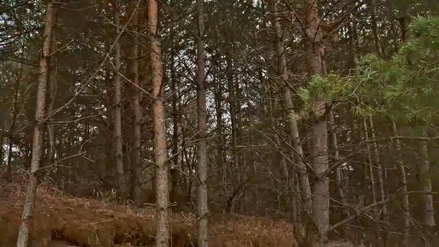 Первая поездка на черной ПАНТЕРЕ.