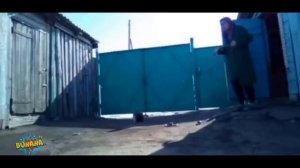 ВЗРОСЛЫЙ ЮМОР l СМЕХ ДО СЛЁЗ l ЛУЧШИЕ ПРИКОЛЫ 2026  l Best Coub 2026