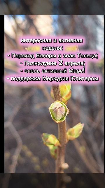 астро_прогноз на неделю с 30 марта по 5 апреля
