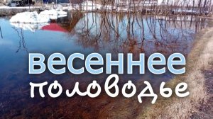 Кругом вода, весна пришла .🌞
