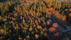 Сон с 31 марта на 1 апреля исполняет желания