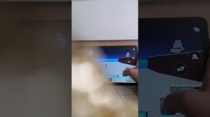 блокс фрукь