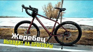 Жеребец выходит на просторы