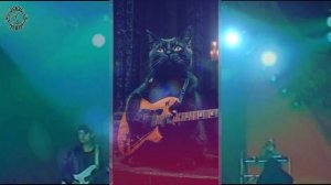 Сектор Газа - Моя бабка