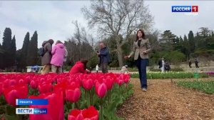 В Никитском ботсаду накануне стартовал традиционный парад тюльпанов