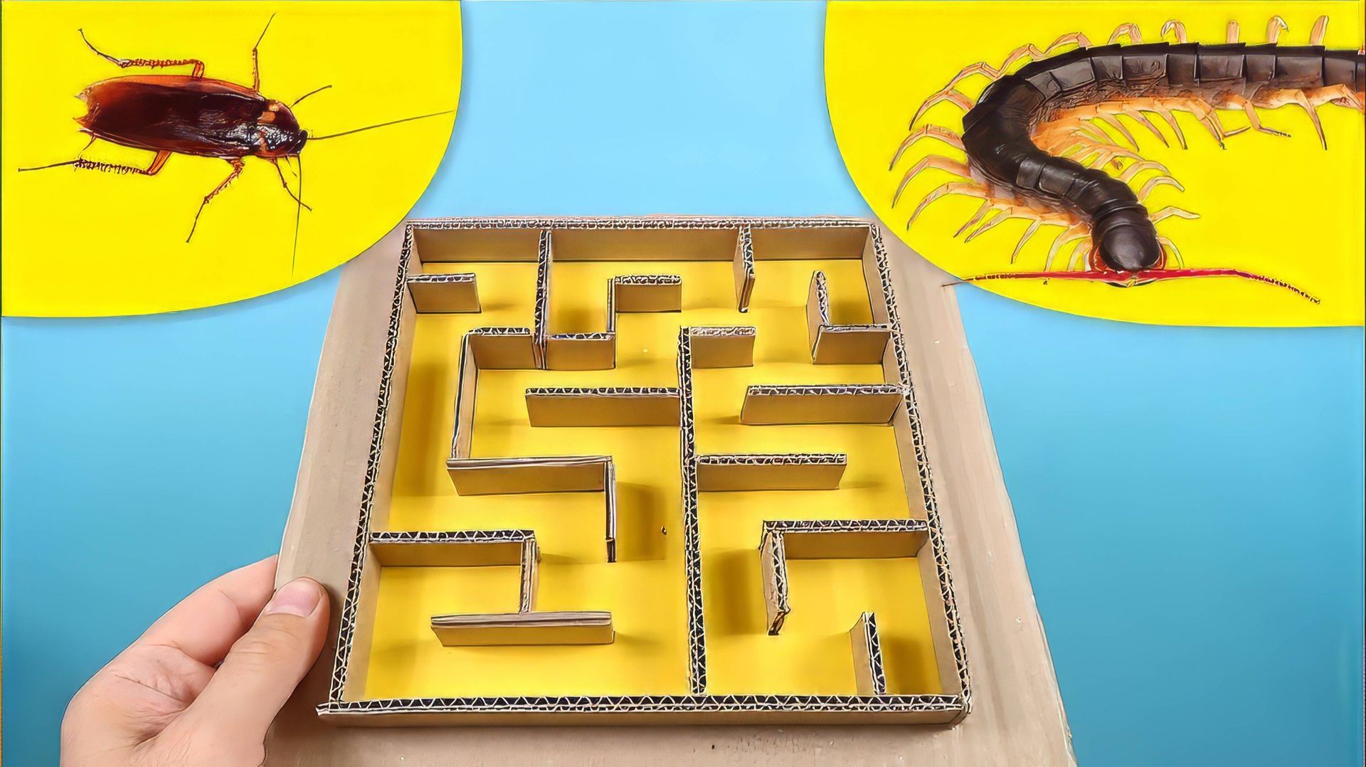 Что будет если Сколопендра и Таракан попадут в лабиринт