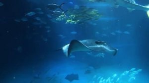 Садисты-родители ДАРИЛИ мне смерть не зная что КАЖДЫЙ раз я встречалась с БогомКЛИНИЧЕСКАЯ СМЕРТЬ