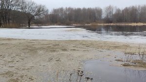 Разлив возле деснянки Жуковка
