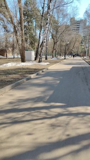 29-03-2026В джамгаровском парке весна