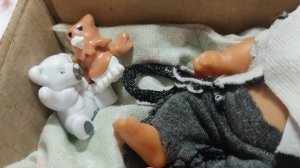 вечер  с реборном