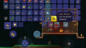Поймал золотого зайца в Террарии | Суходрищик Terraria