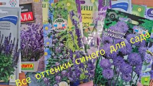 Цветы для сада в синих тонах. Цвет гармонии. Обзор семян.