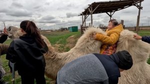 Инклюзивная экскурсия. Калмыкия. г. Элиста