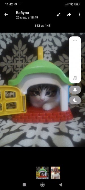 я и моя логика