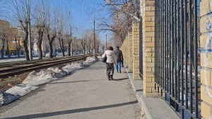 Два полюса.