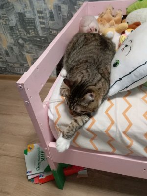 я делаю шляпу Барбоса из пиратов Карибского моря