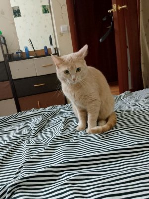 Всем привет